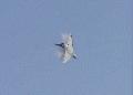 Mirage2000C French AF